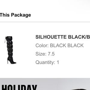 Steve Madden Silhoutte Black Heel Boots
